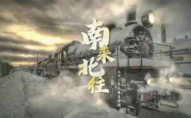 蘑菇视频高清观影画面